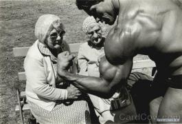 arnold011.jpg