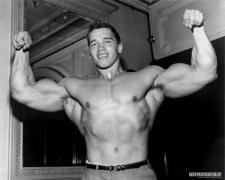 arnold012.jpg