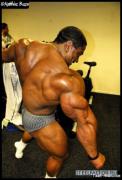 roelly3.jpg