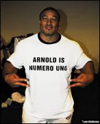 Shirts__22_.JPG