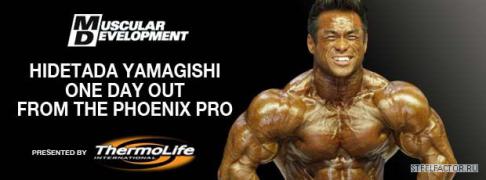 Hidetada_Phoenix.jpg
