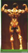 FlexWheeler43.jpg
