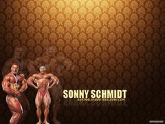 sonny_schmidt_wallpaper_1024x768.jpg