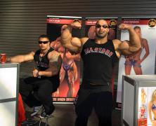 fibo1364.jpg
