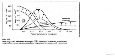 Режимы_при_тренированности.jpg
