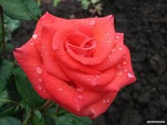 post_43421_1188757559.jpg