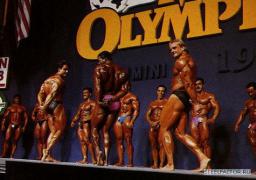 img_1258126895_1.jpg