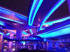 24022010299.jpg