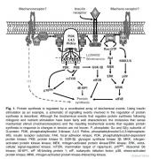 fig1.jpg