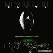meshdvdcover.jpg