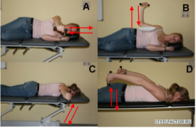 scapular_exercises_for_shoulder_pain.png