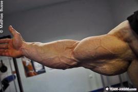 Ronny_283329.jpg