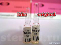 fake_2_4.jpg