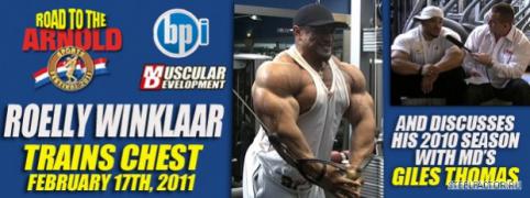 roelly_chest_ac11_rot.jpg