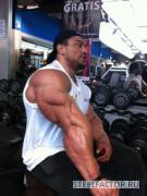 roelly1.jpg