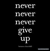 nevernevernevergiveup.jpg