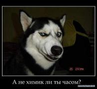 himka3.jpg