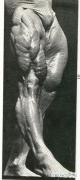 TOM_PLATZ.jpg