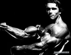 1324_300269722_arnold_schwarzenegger_2_4_H135227_L.jpg