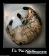 цфпр.jpg