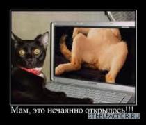 ыцфкпви.jpg