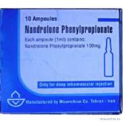 phenil_500x500.jpg