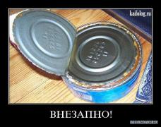 x_0ed3f851.jpg