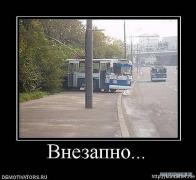 x_087b0149.jpg