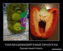 x_168d0ca8.jpg