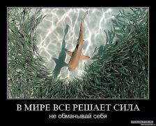 x_902e01a9.jpg