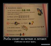 x_b5343083.jpg