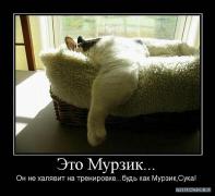 x_cd0a6250.jpg
