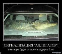 x_fd9d4cbe.jpg