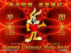 cn_new_year_funny_bunny.jpg