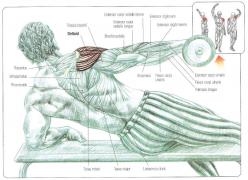 Side_Lying_Lateral_Raises.jpg