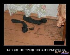 getImage (26).jpg