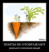 x_7a511f6a.jpg