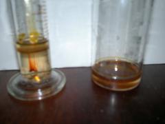 21022012560.jpg