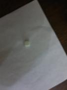 21022012512.jpg