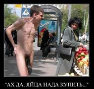 1290820691_foto-prikol_net_demki-otdyhayut-v-vyhodnoy-7.jpg