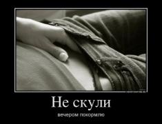 1328705495_47418295_ne-skuli.jpg