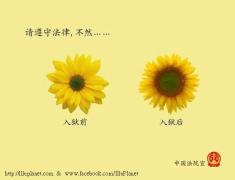 5392708142_e4dc1b4943_z.jpg