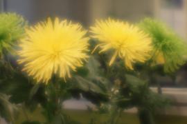 IMG_8053-1.JPG
