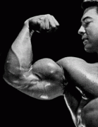 735ac-larryscottbicep.gif