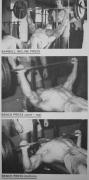 how-to-bench-press.jpg