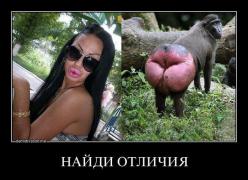 x_693429bb.jpg