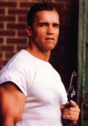 normal_arnold-schwarzenegger-12.jpg