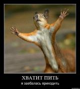x_91265444.jpg