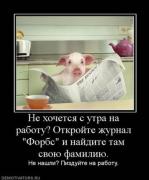 x_e0abc897.jpg