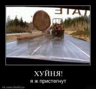 1 1 1 1 1 1 1 1 1 (2).jpg